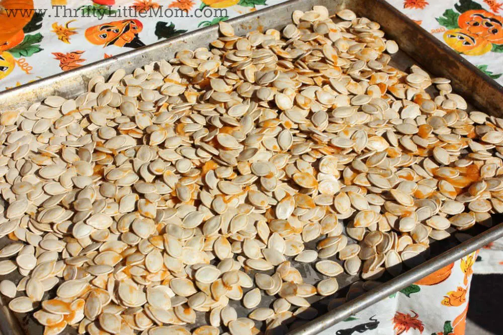 pumpkin seed roasting pan