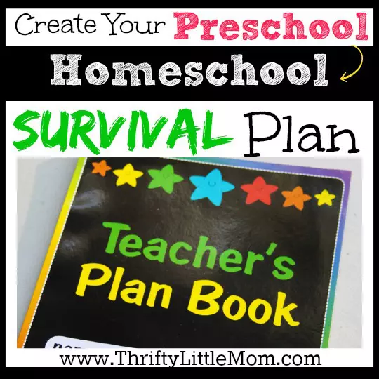Preschool Homeschool Survival Plan