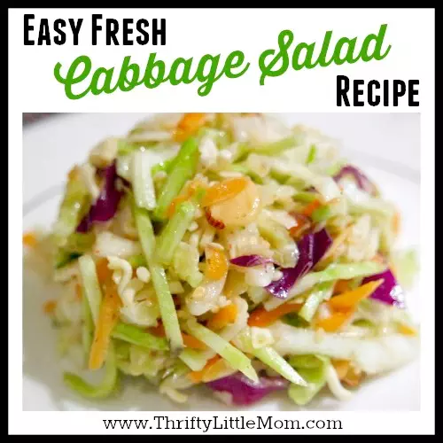 Easy Fresh Cabbage Salad Coleslaw Recipe