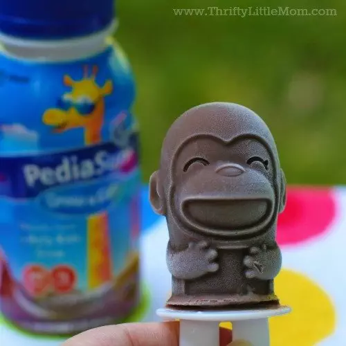 Kid’s Creamy Chocolate Ice Pops Recipe