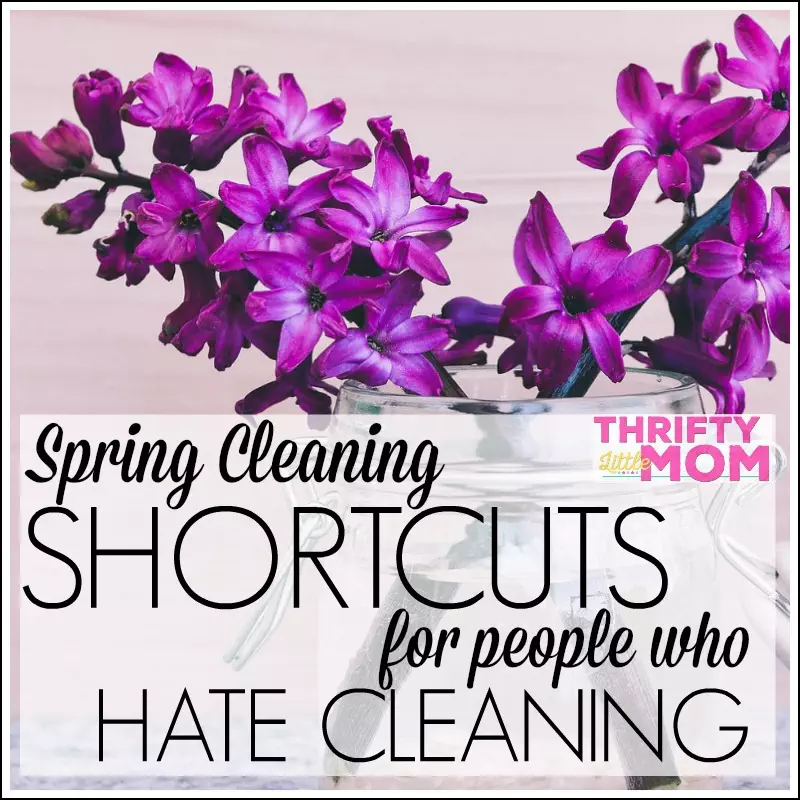 Spring Cleaning Shortcuts For People Who Hate Cleaning