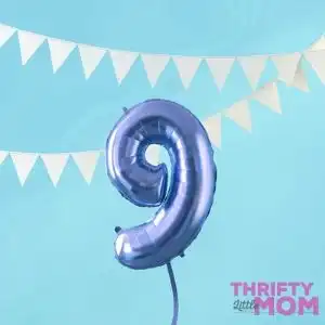 20 Indoor and Outdoor 9 year old boy birthday party ideas