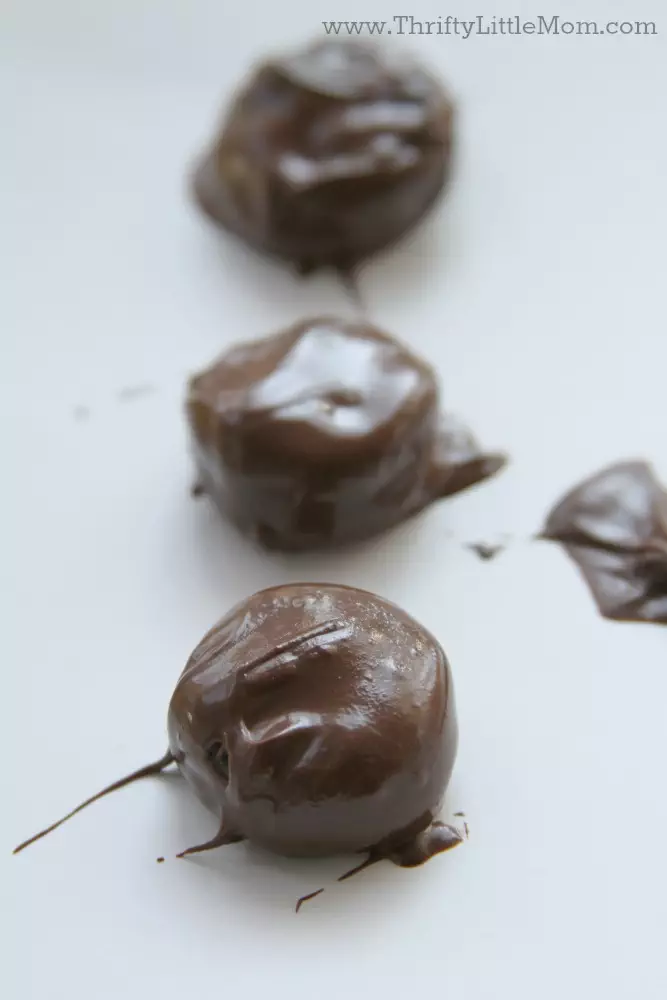 Chocolate Covered Mini Oreo Bites Dipping